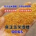 玉米酒糟酒糟DDGS厂家直发大量供应可视频看货