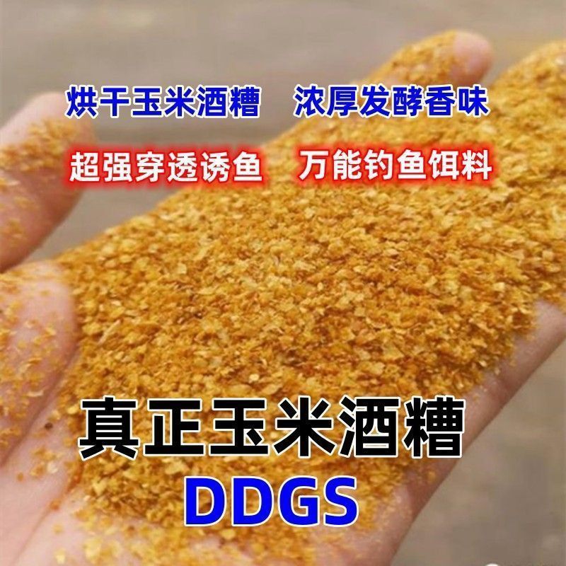 玉米酒糟酒糟DDGS厂家直发大量供应可视频看货
