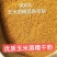玉米酒糟酒糟DDGS厂家直发大量供应可视频看货