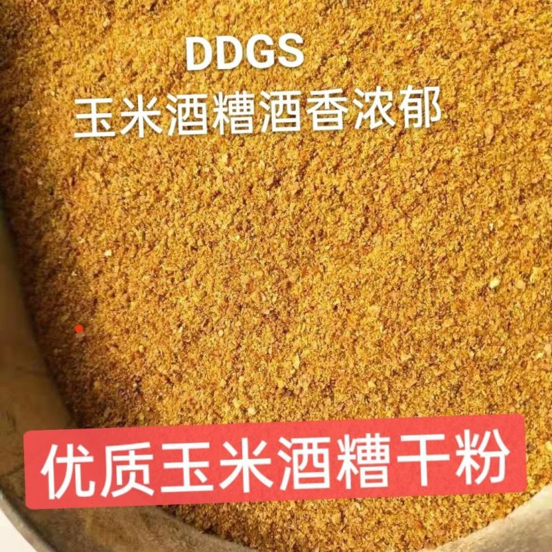 玉米酒糟酒糟DDGS厂家直发大量供应可视频看货