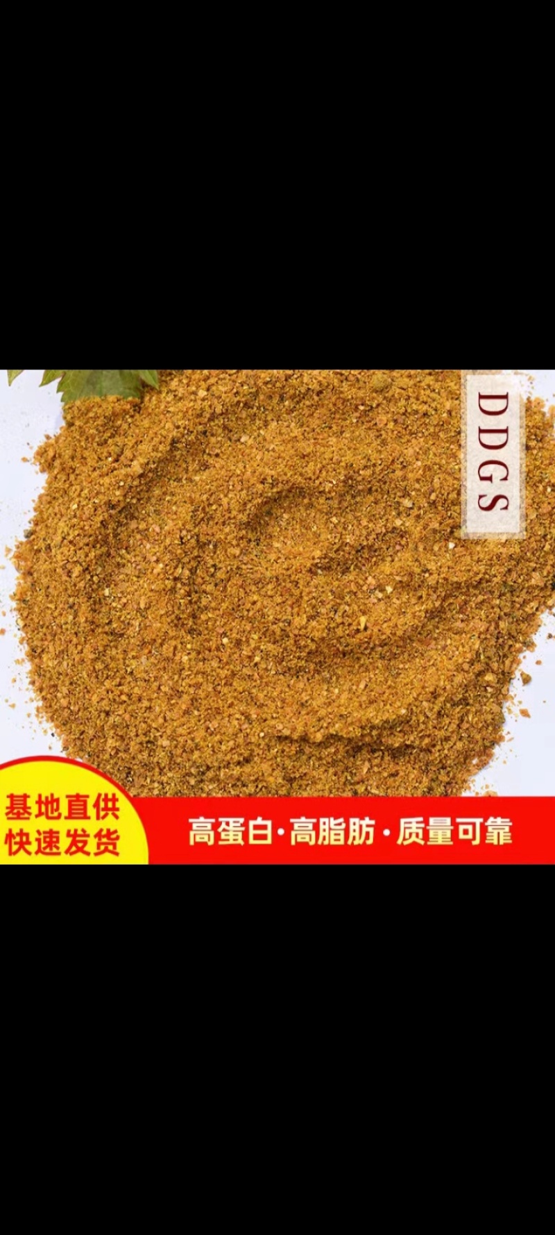 玉米酒糟酒糟DDGS厂家直发大量供应可视频看货