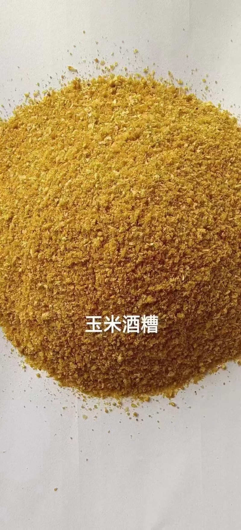 玉米酒糟酒糟DDGS厂家直发大量供应可视频看货
