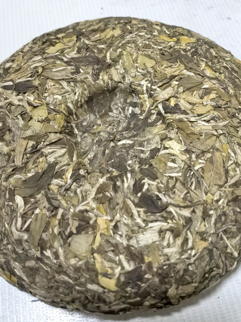 白牡丹茶饼
