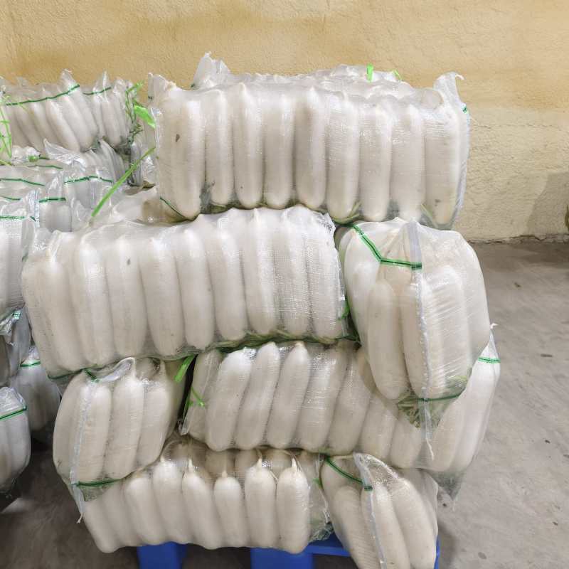 湖北枝江白萝卜三排四排五排有货
