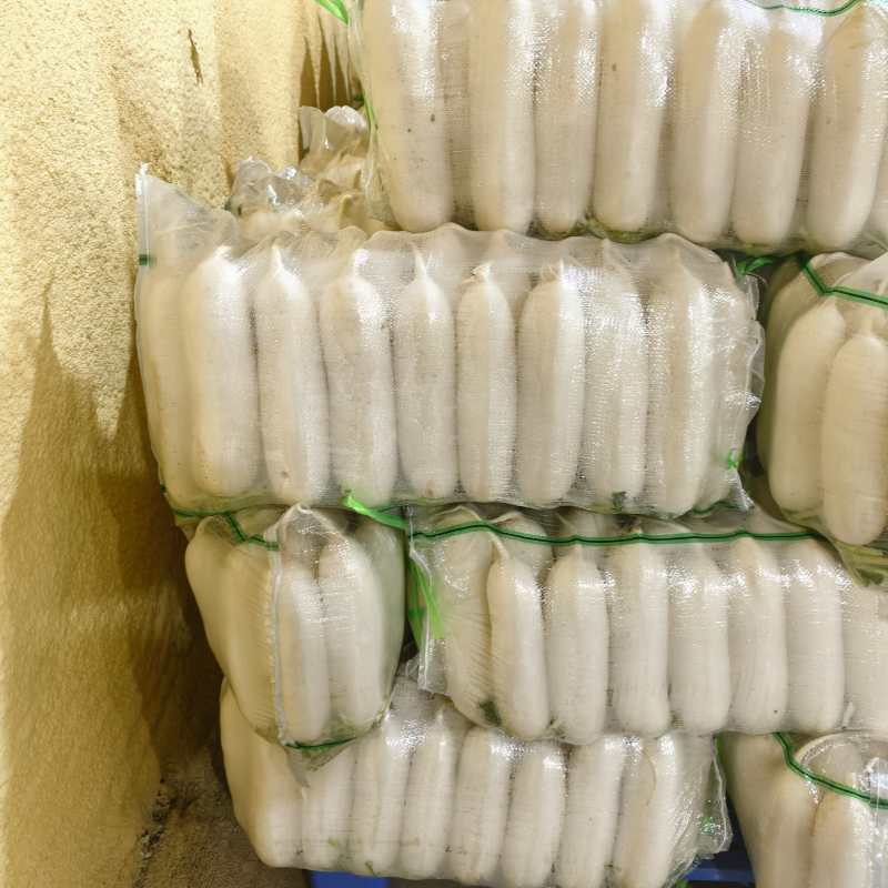 湖北枝江白萝卜三排四排五排有货