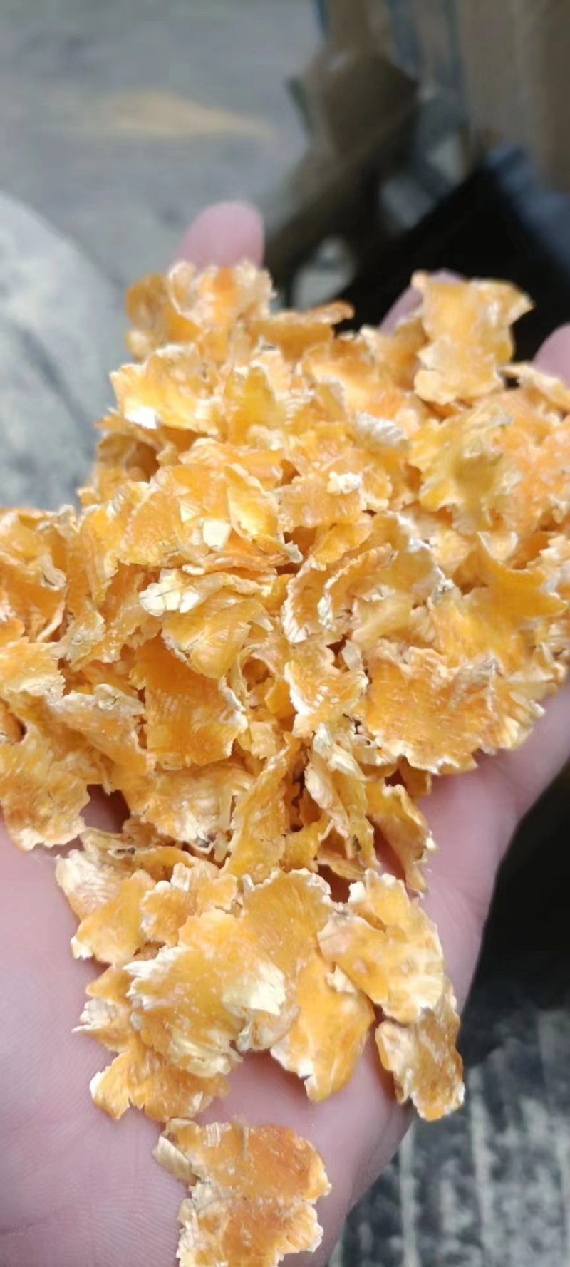 蒸汽压片玉米蒸汽玉米压片大量供应可视频看货饲料