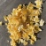 蒸汽压片玉米蒸汽玉米压片大量供应可视频看货饲料