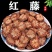 红藤新货无硫大血通深山野生血塞通老藤切片精选批发