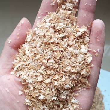 麦麸大片麸皮猪牛羊黄粉虫厂里直发可视频看货欢迎来