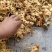 野生三七（新鲜野生三七，现挖现发货，3斤起批）