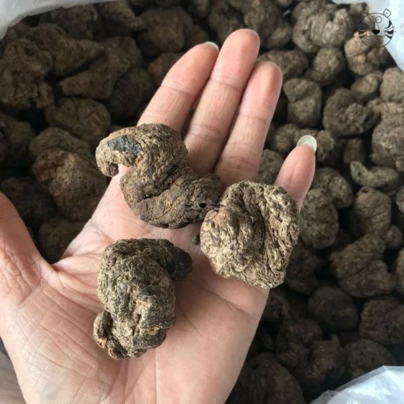 地黄熟地黄生地黄规格齐全一手货源拒绝假货假一赔十