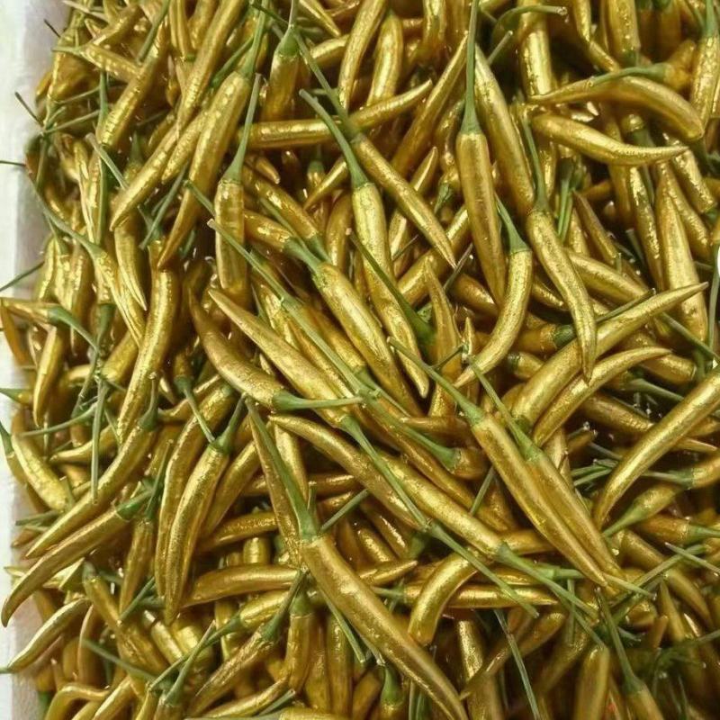 艳红小米椒！河南中转仓！大量供应，随时发货！