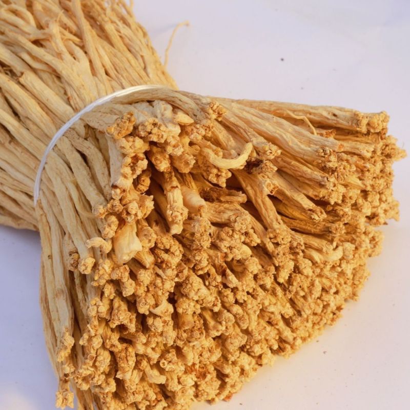 【甘肃产地】白条党参/品质保证/产地直发/诚信为本