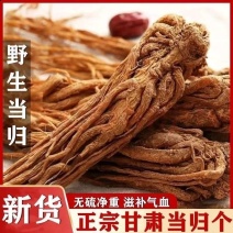 【精选】甘肃当归/产地直供/品质保证/欢迎采购