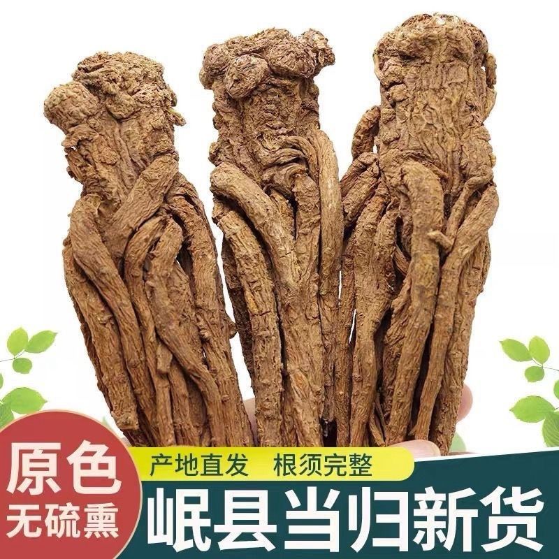 【精选】甘肃当归/产地直供/品质保证/欢迎采购