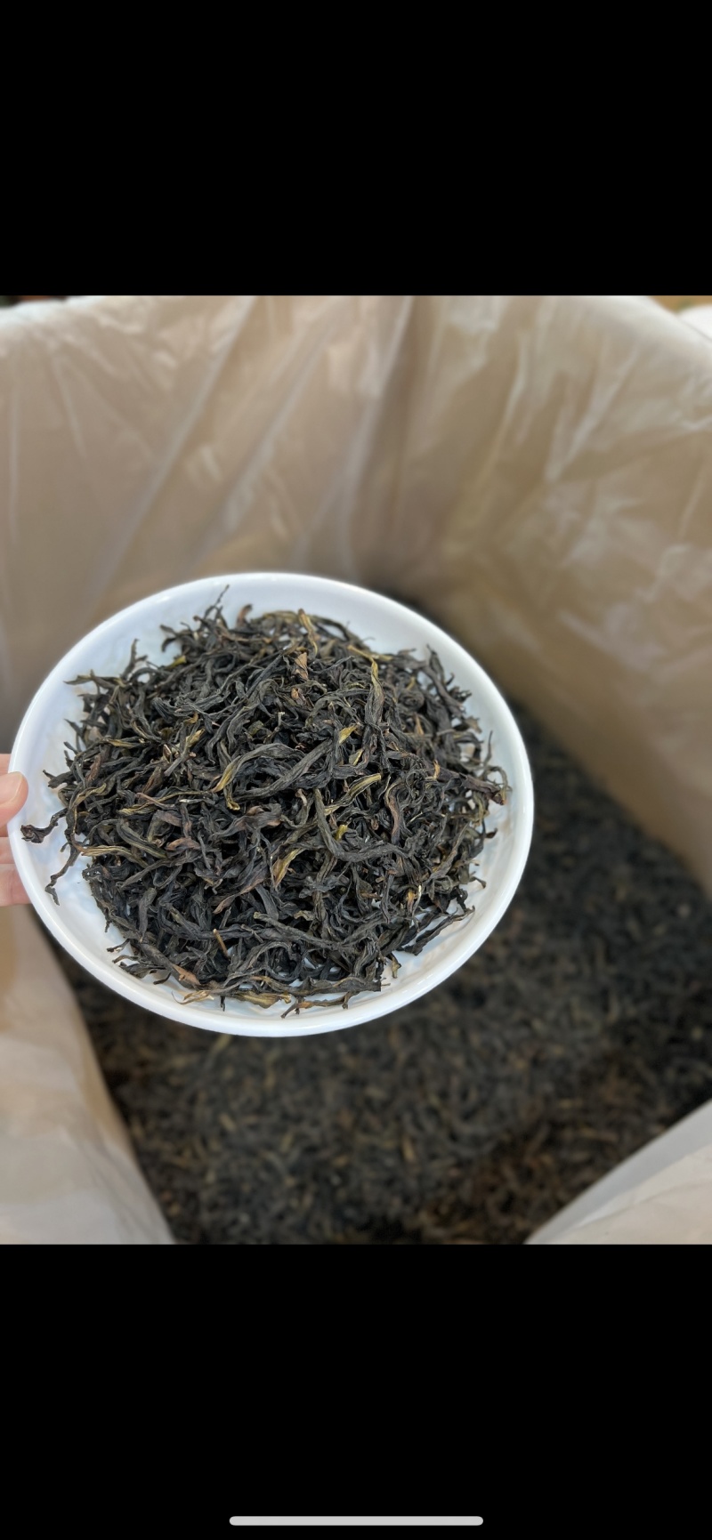 潮州凤凰山单枞茶春鸭屎香高山蜜兰万斤批发代发都有