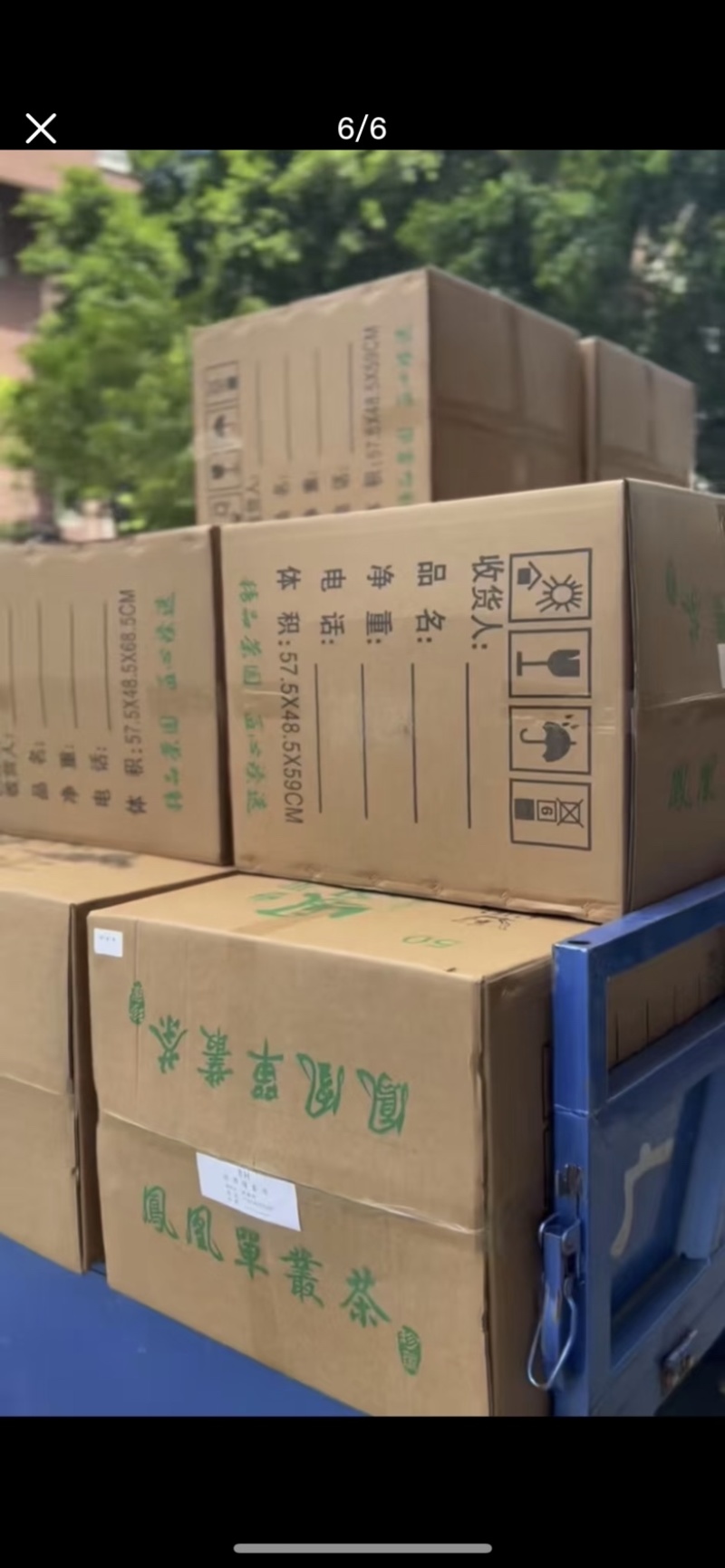 潮州凤凰山单枞茶春鸭屎香高山蜜兰万斤批发代发都有