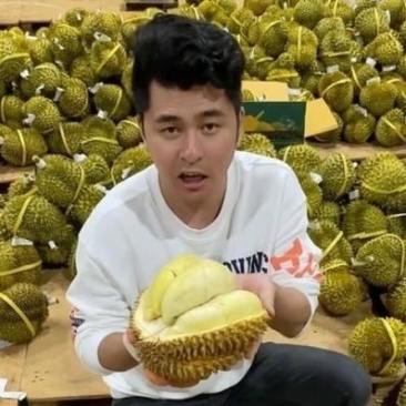 金枕榴莲一手批发价格，a果保5房，坏果包赔