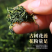 杜仲雄花野生杜仲雄花粉茶中药材批发零售无硫新货