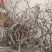 龙枣枝批发
