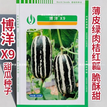德瑞特甜瓜种子新博洋9号甜瓜种子皮薄高糖绿肉桔红瓤薄皮