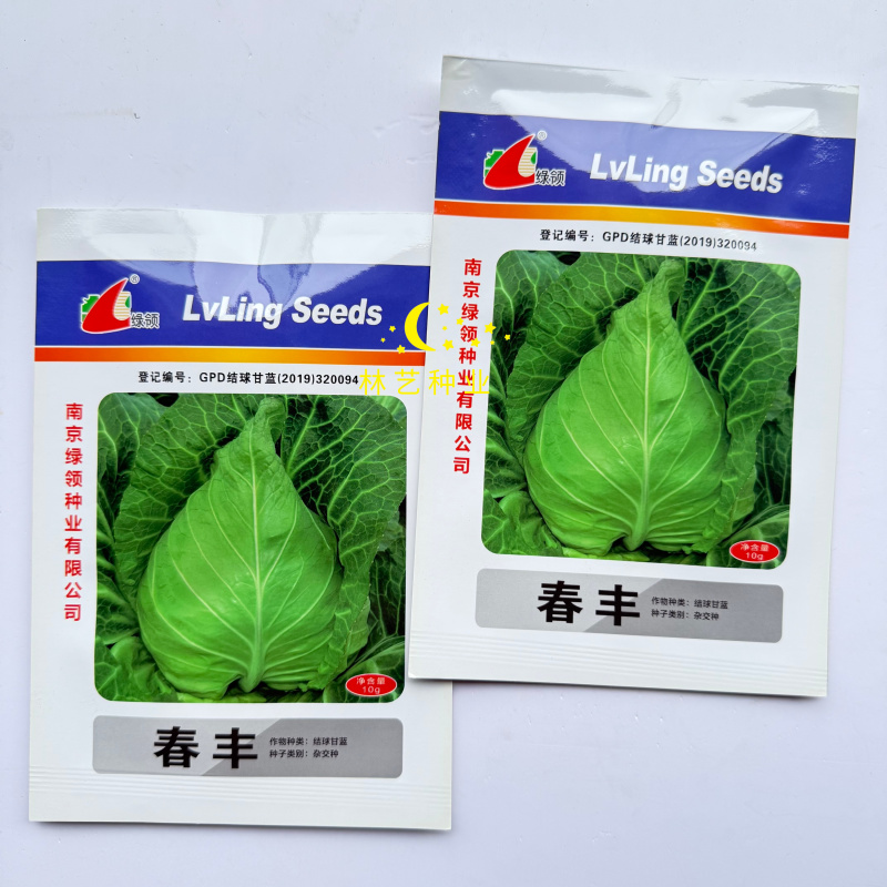 春丰牛心甘蓝种子早熟叶色灰绿腊粉中等叶球桃形结球紧实越冬