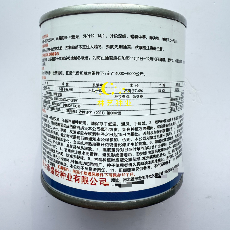 油绿牛心甘蓝种子中早熟杂交一代叶色深胖尖型牛心甘蓝春秋季