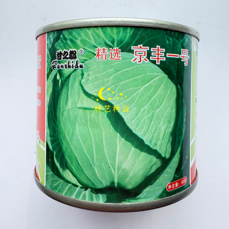 甘之都京丰一号甘蓝种子中熟扁圆形绿甘蓝种籽结球紧实春秋季