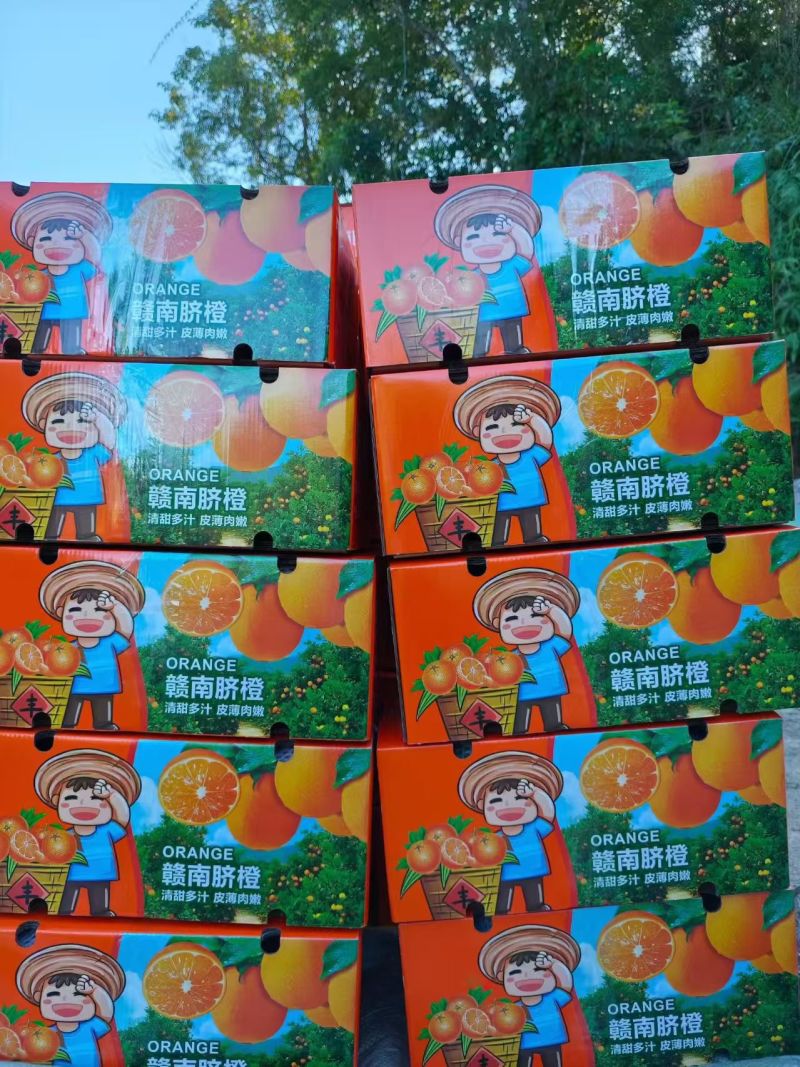 一手价种植户冰糖橙甜橙不打腊不催熟现买现摘先发货批发零售福利
