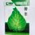 邢新春丰甘蓝种子尖包菜牛心甘蓝菜卷心菜包心菜早熟耐寒结球