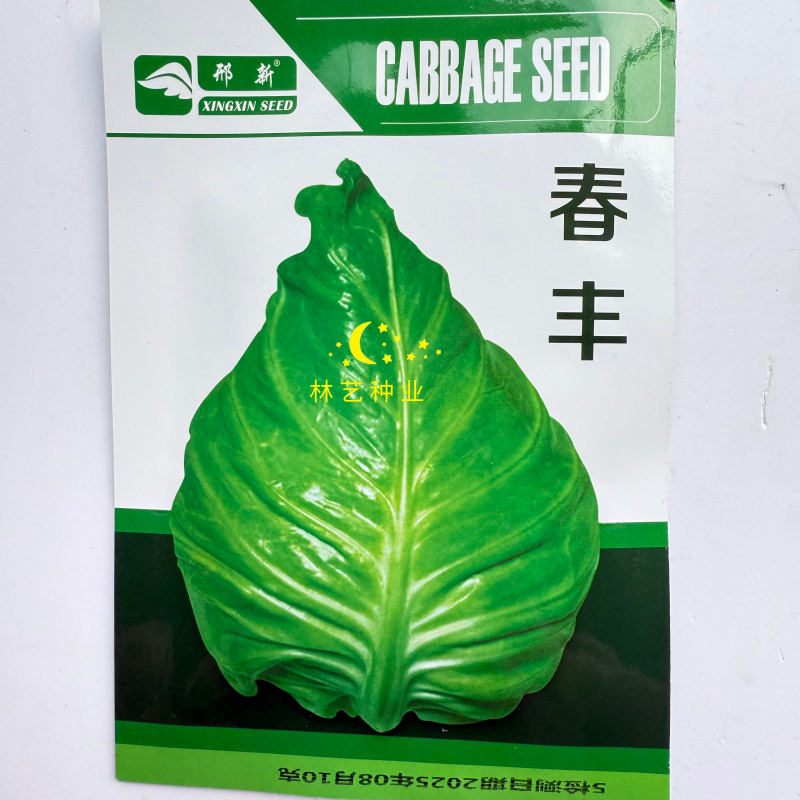 邢新春丰甘蓝种子尖包菜牛心甘蓝菜卷心菜包心菜早熟耐寒结球