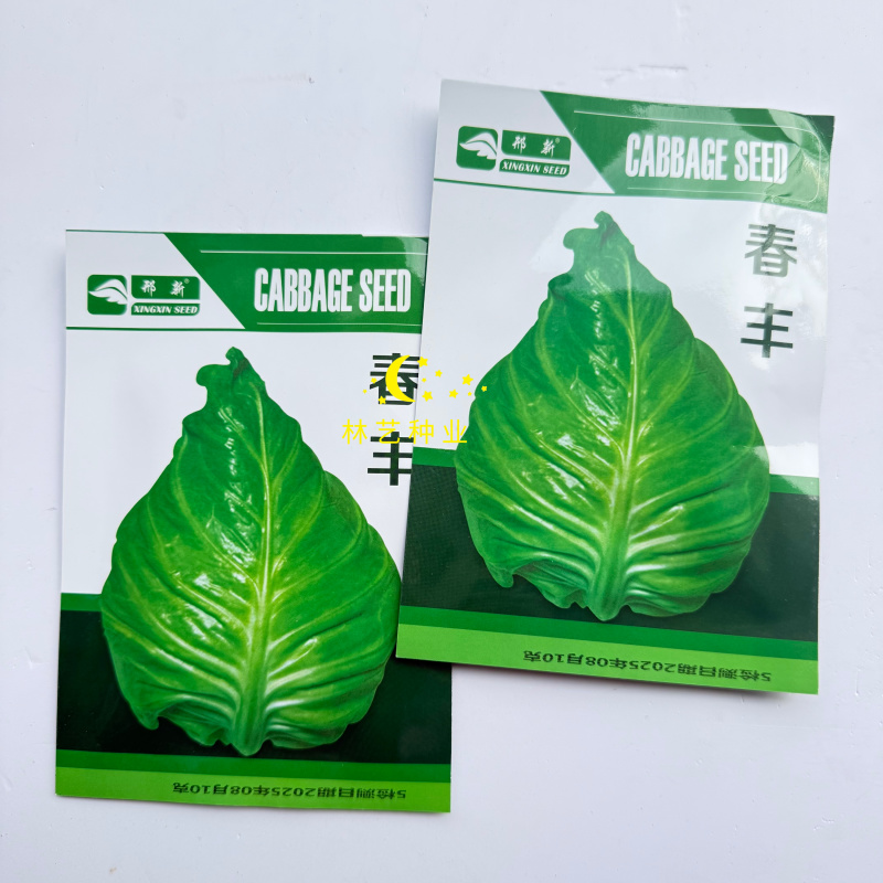 邢新春丰甘蓝种子尖包菜牛心甘蓝菜卷心菜包心菜早熟耐寒结球