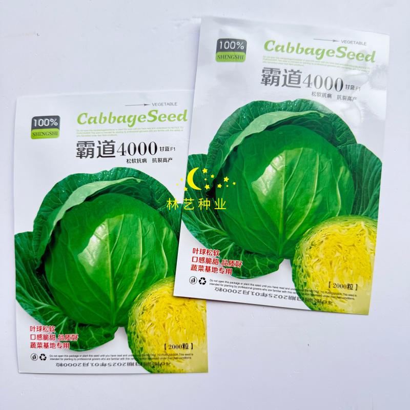 霸道4000甘蓝种子早熟叶球松软高产包心菜甘蓝种子卷心菜