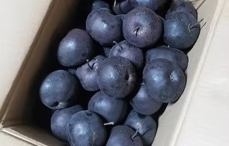 冻梨现货，可做一件代发，大中小号等级都有现货