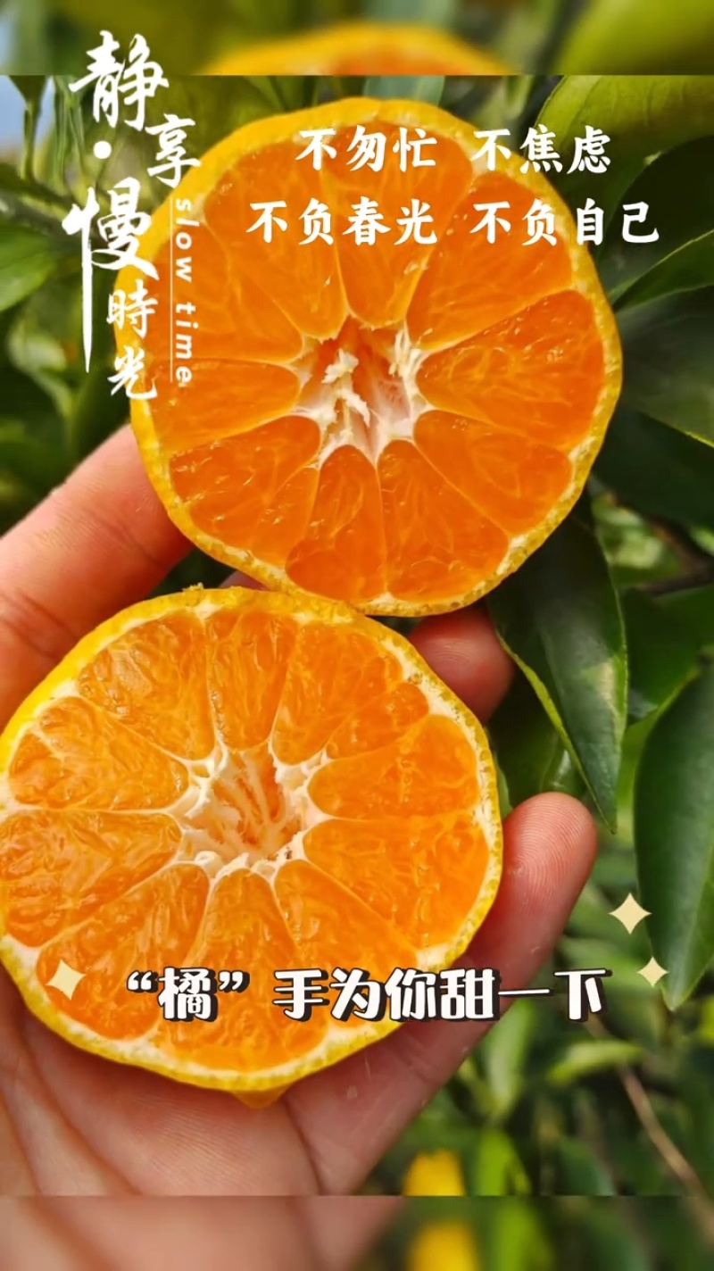正宗涌泉蜜橘，自家果园种的，不打蜡，不催熟，树上自然成熟