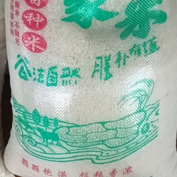 广西精米