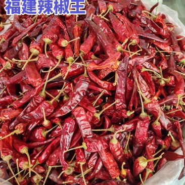 福建辣椒王（卤菜专用）辣椒