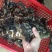 石斑鱼海鱼老虎斑鱼鲜活急冻深海石斑鱼清蒸肉质鲜嫩
