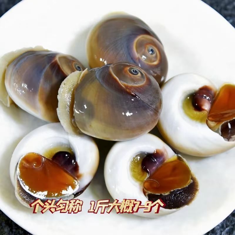 鲜活吐沙，速冻锁鲜，带壳整螺，丹东特产香螺猫眼螺