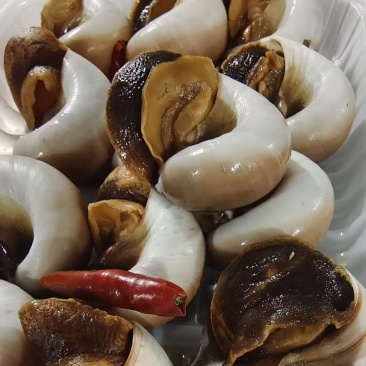 酱香螺猫眼螺，沙螺扁玉螺开袋即食