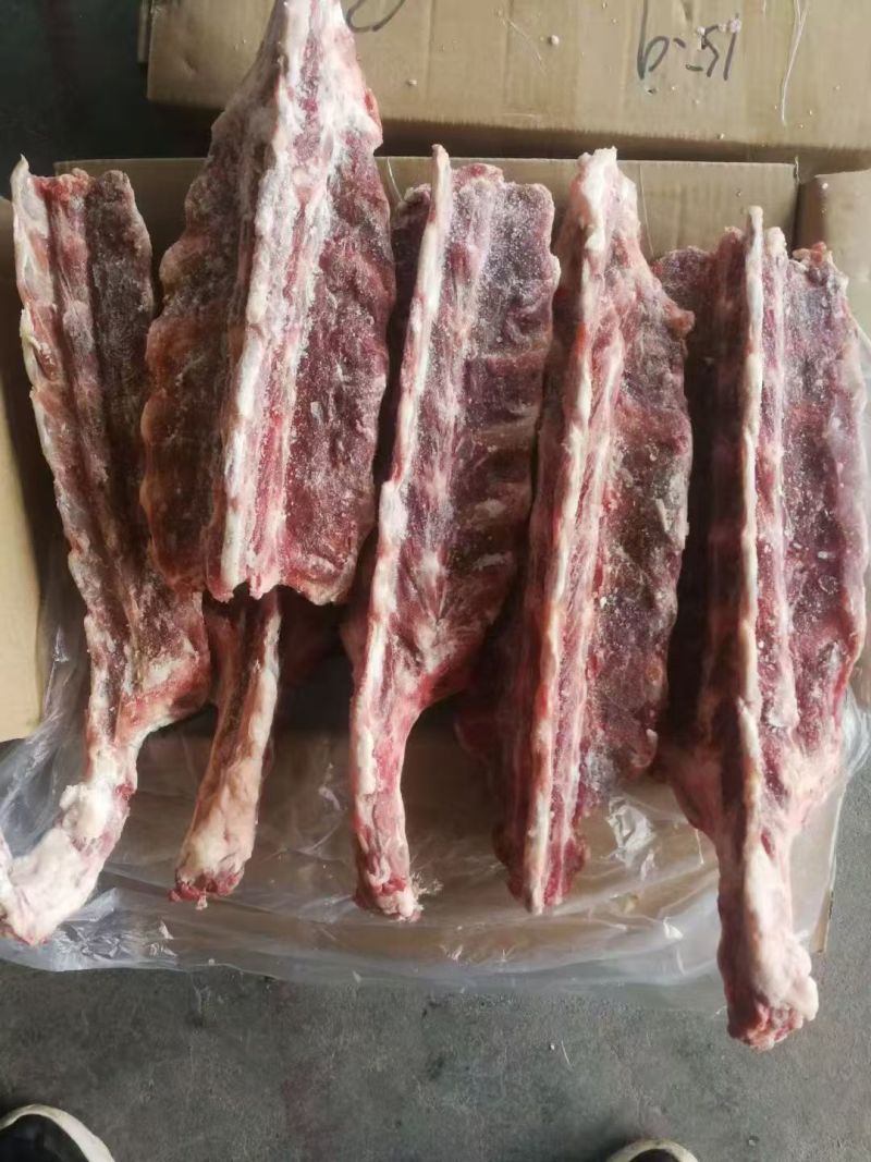 带排羊蝎子
