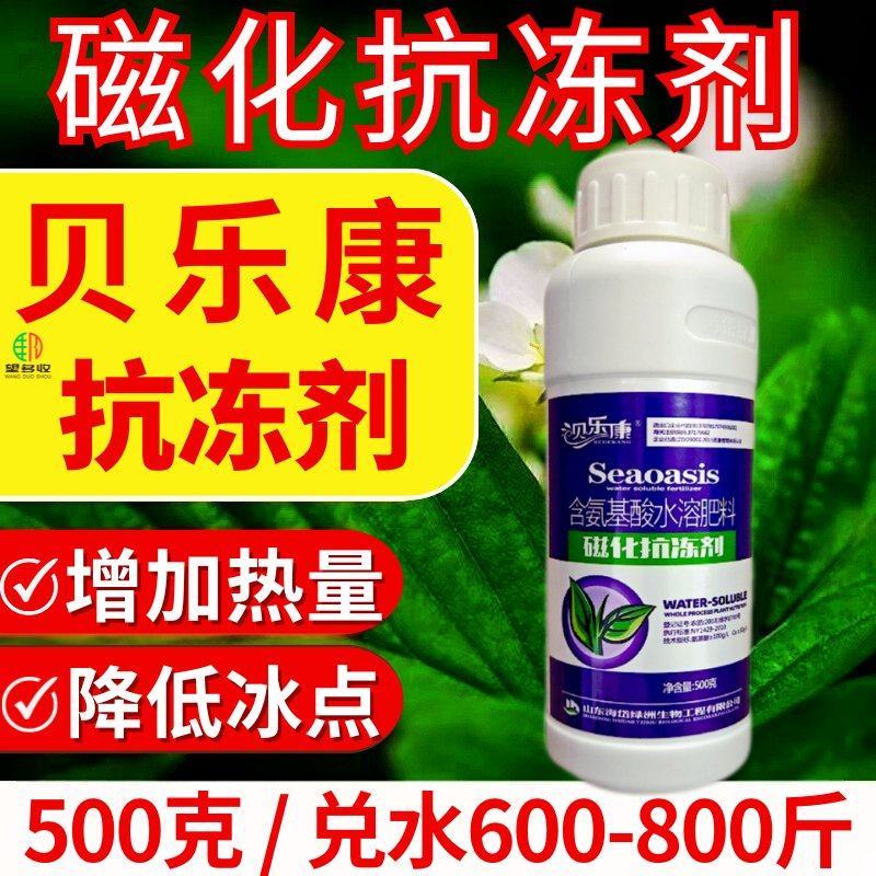 磁化抗冻剂缓解冻害增加能量降低冰点叶面肥