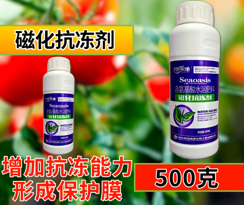 磁化抗冻剂缓解冻害增加能量降低冰点叶面肥