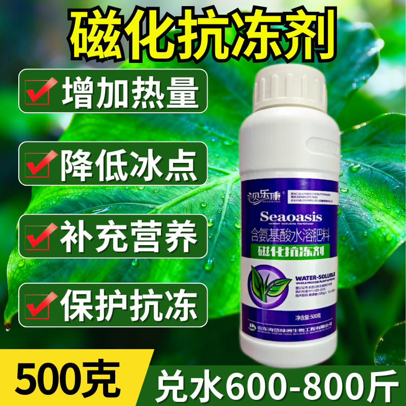磁化抗冻剂缓解冻害增加能量降低冰点叶面肥