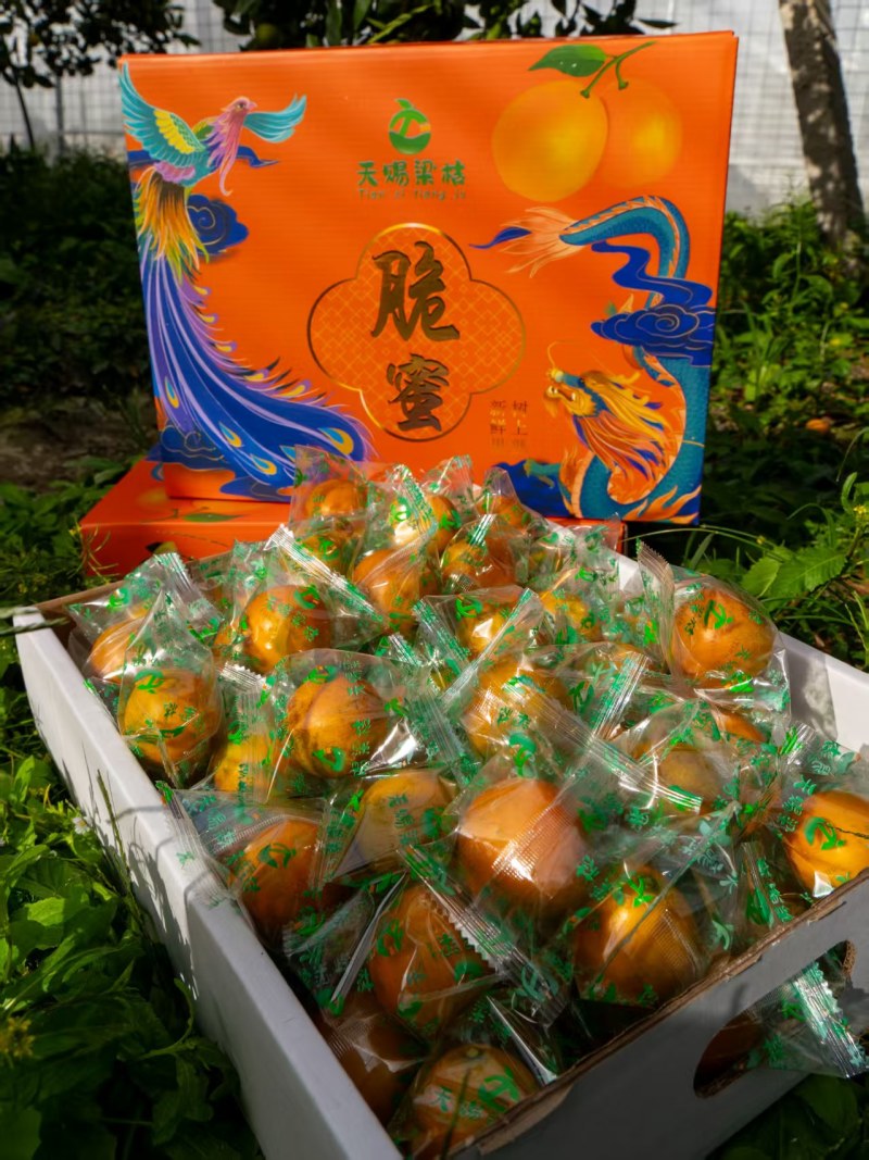 脆蜜金桔两斤装，支持视频看货，可发往全国市场！