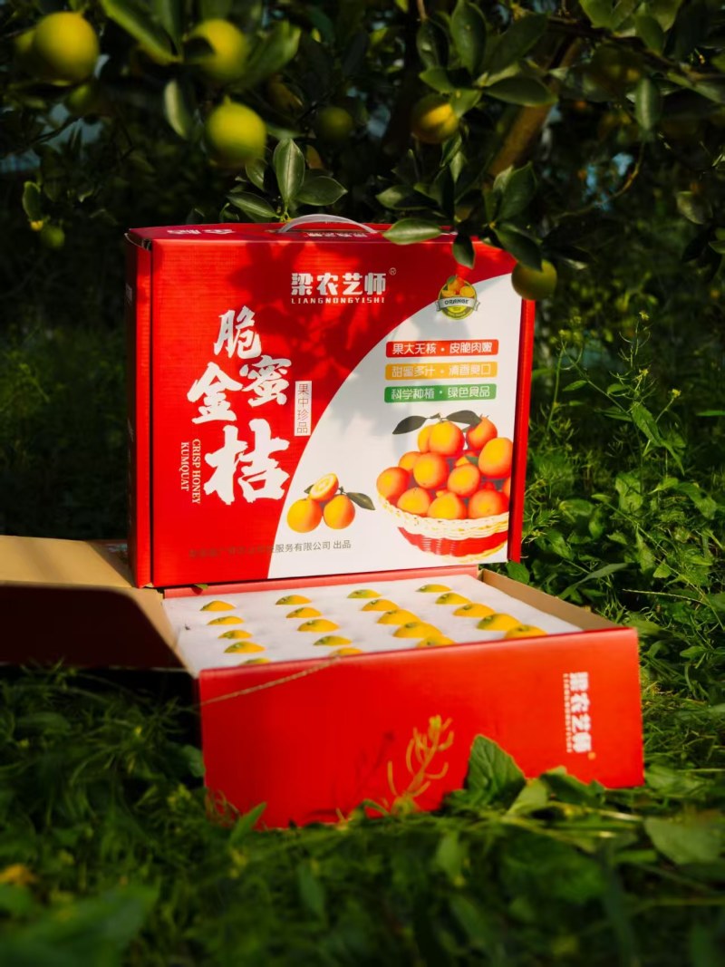 脆蜜金桔两斤装，支持视频看货，可发往全国市场！
