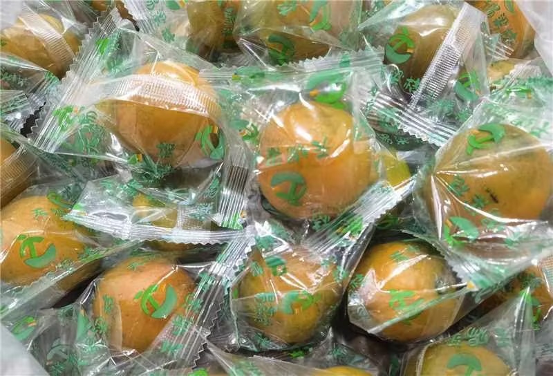 【实力】脆蜜金桔，金桔精品装热烈欢迎来我们基地考察订购