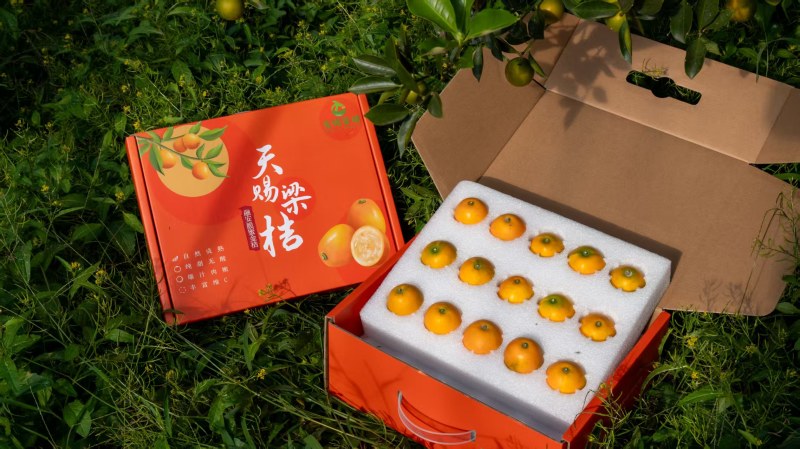 【实力】脆蜜金桔，金桔精品装热烈欢迎来我们基地考察订购