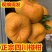 四川攀枝花碰柑/产区直发/大量有货