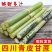 四川攀枝花黄金甘蔗/产区直发/大量有货/欢迎联系